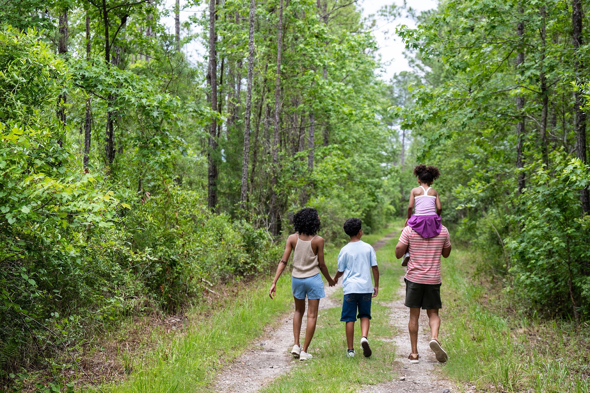Family walking a Tributary trail