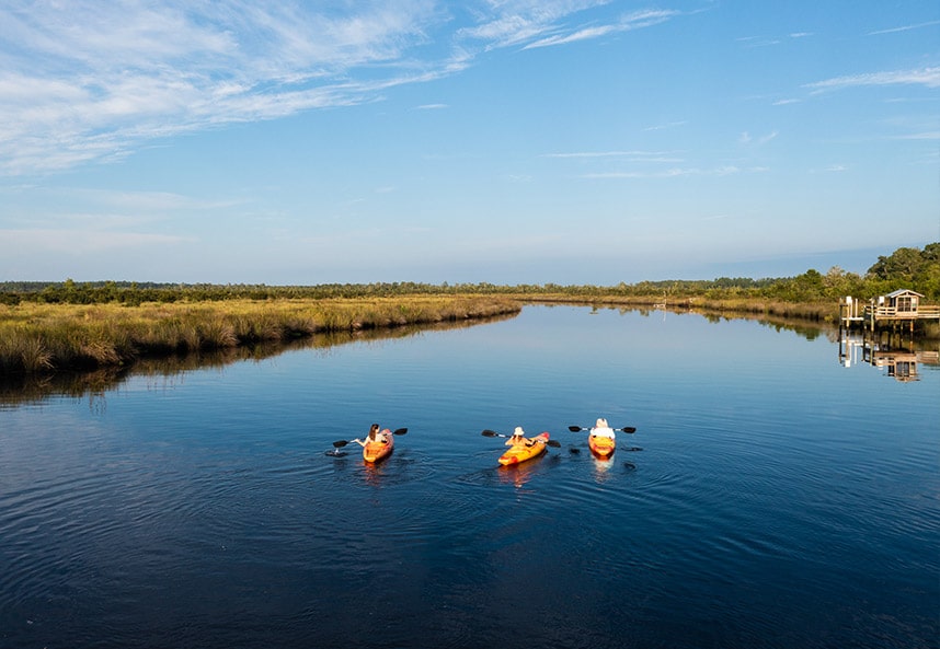 Explore Natural Florida - Kayaking on the North Florida River