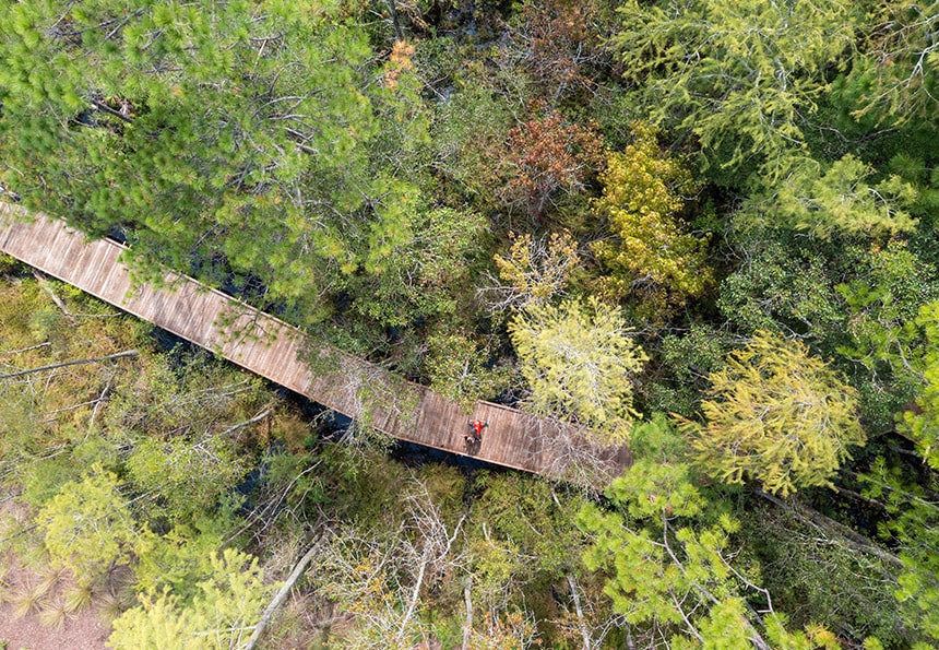 birds eye view of the tributary trails