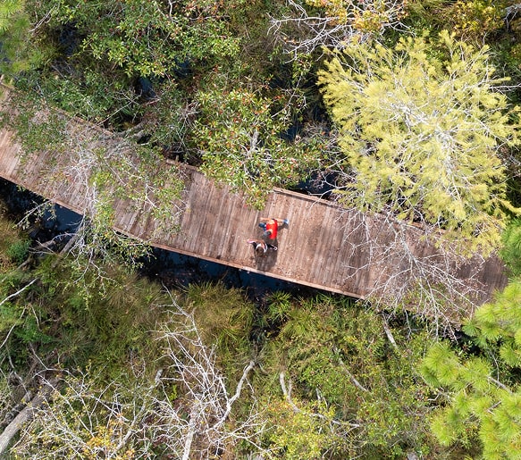 Scenic walking and biking trail surrounded by nature at the Tributary community in Nassau County, Florida