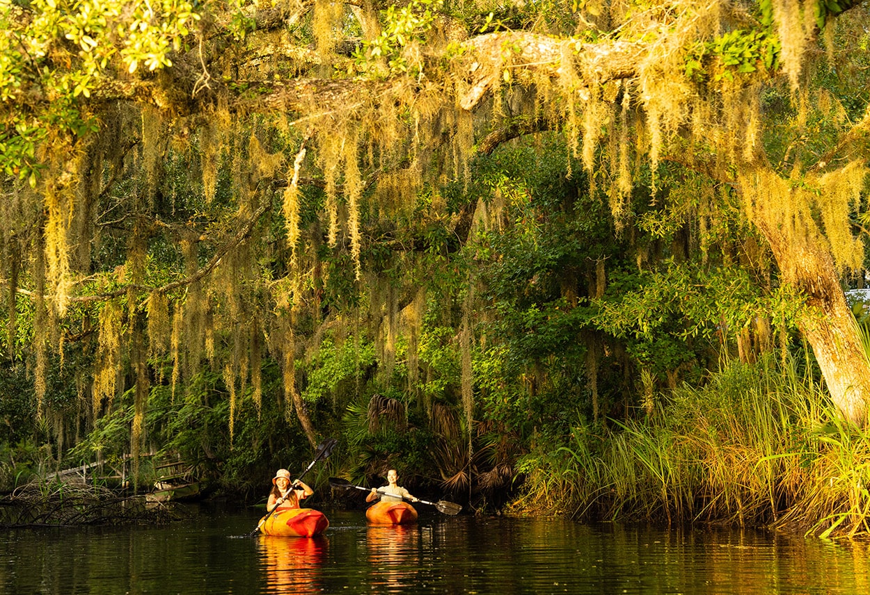 kayakers on boggy creek near tributary