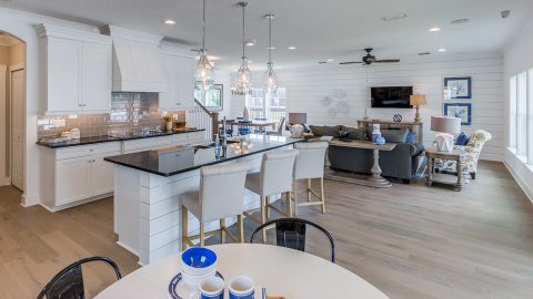 Dream Finders Driftwood Kitchen & Family Room