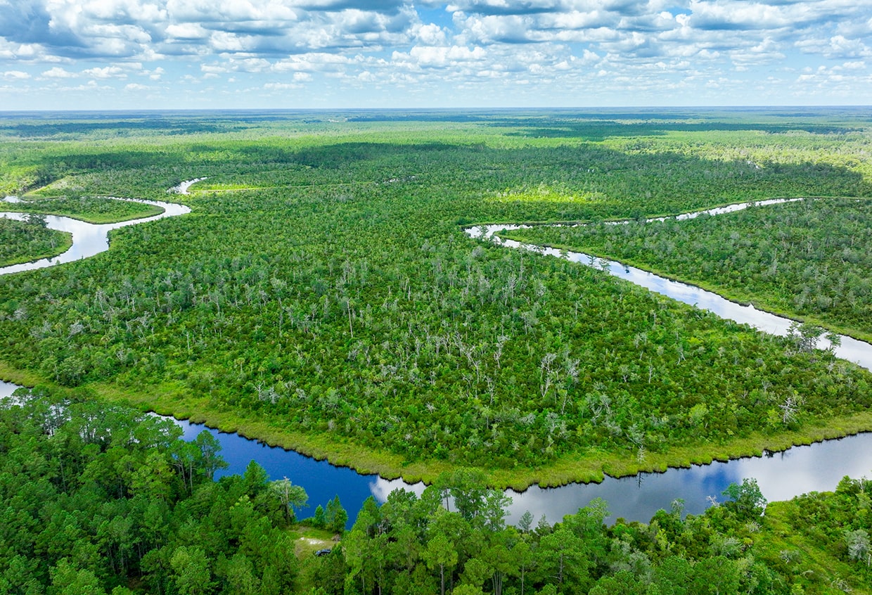 aerial view of the nassau river