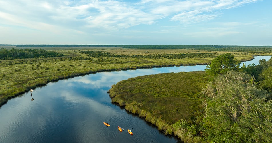 aerial of river in nassau county with kayakers