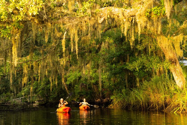 tributary residents kayaking