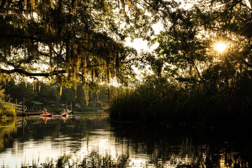 sun shining through the trees and kayakers