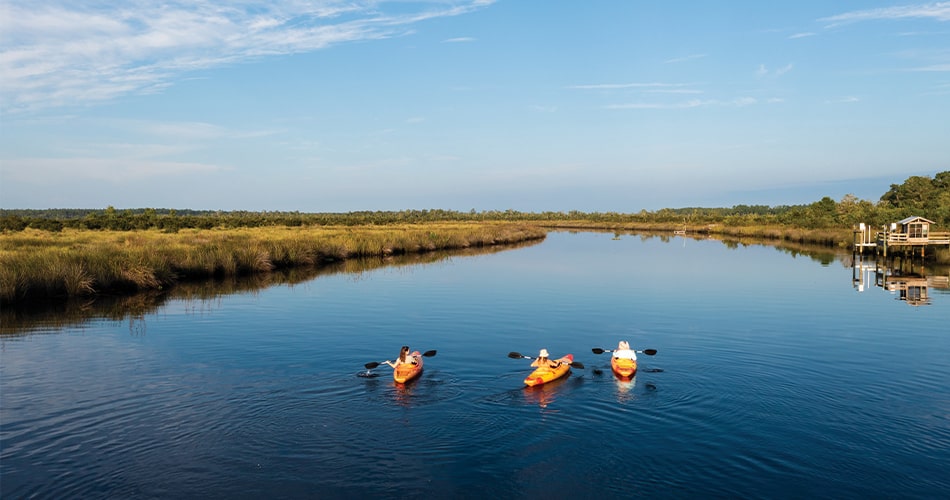 Kayaking adventures near tributary