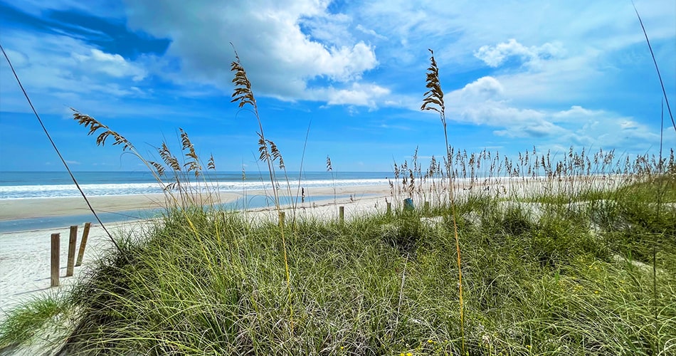 Jacksonville Beach and grass