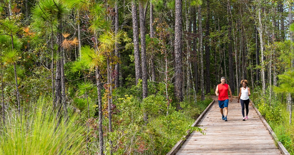 couple walking the tributary boardwalk