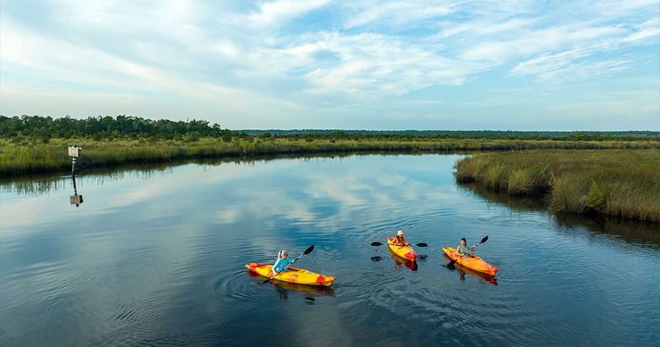 aerial of kayaking near community in North Florida