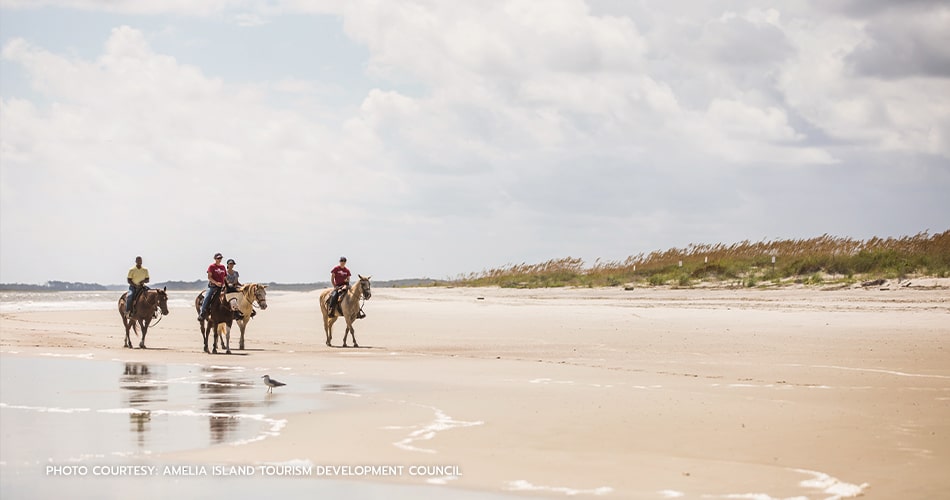 Amelia Island Horseback riding tours