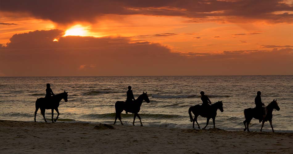 Horseback Riding on Amelia Island on the beach