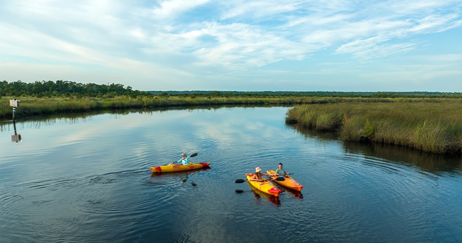 Kayaking in North Florida