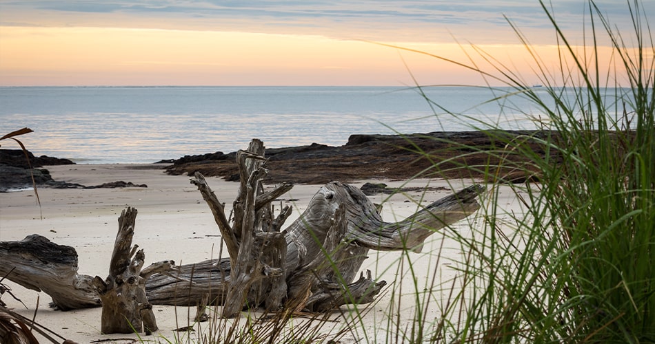 Beach at Big Talbot Island