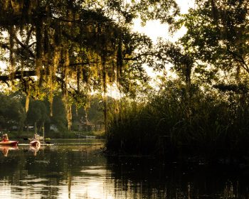 Boggy Creek Nassau County Florida