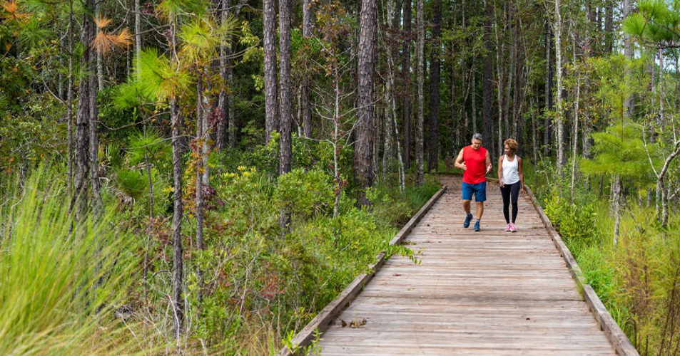 Couple walking on wooden boardwalk through forest